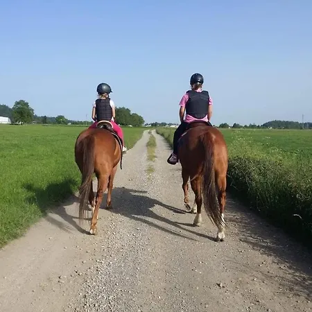 Apartman Apartmaji Brsca