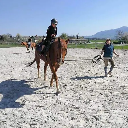 Apartmaji Brsca Apartman *