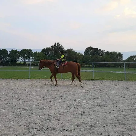 Apartmaji Brsca Apartman *