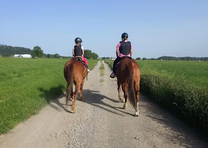 公寓 Apartmaji Brsca