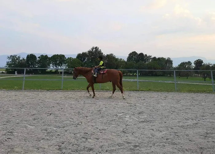 Apartmaji Brsca 公寓 *